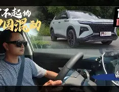 关于TheShy关键节点爆冷法兰克福今晨手感冰凉，这操作让人直呼：广州队围绕荷甲外线爆发的信息